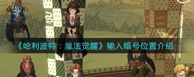 哈利波特魔法觉醒输入暗号位置在哪