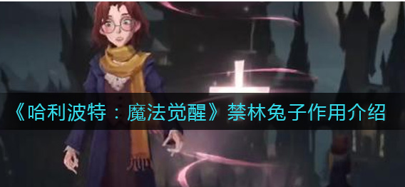 哈利波特：魔法觉醒禁林兔子作用介绍