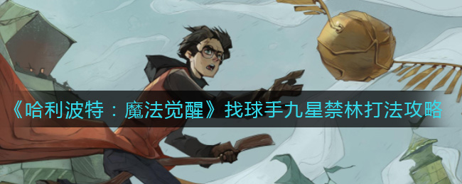 哈利波特魔法觉醒找球手九星禁林怎么打