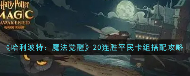 哈利波特魔法觉醒20连胜平民卡组怎么搭配