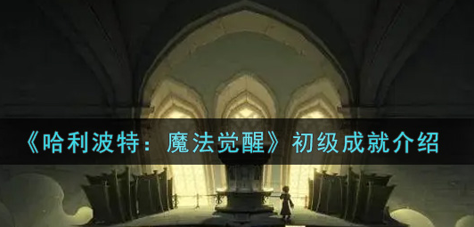 哈利波特魔法觉醒初级成就怎么完成