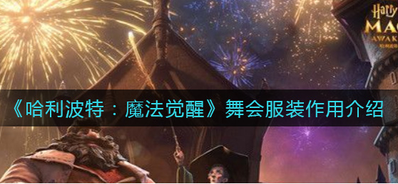 哈利波特魔法觉醒舞会服装作用是什么