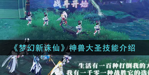 梦幻新诛仙神兽大圣技能怎么样