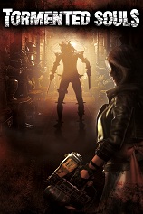 痛苦的灵魂十项修改器风灵月影版