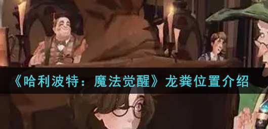 哈利波特魔法觉醒龙粪位置在哪