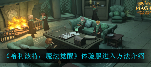 哈利波特魔法觉醒体验服怎么进入