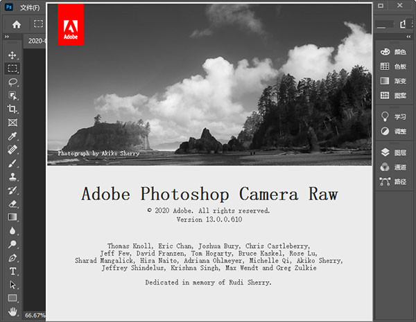 Adobe Camera Raw 132