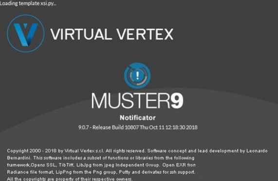 Virtual Vertex Muster0