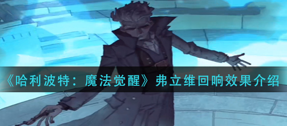 哈利波特魔法觉醒弗立维回响效果是什么