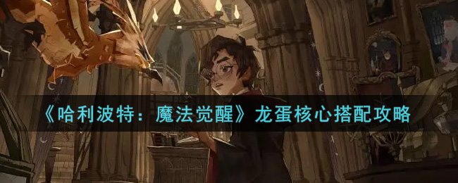哈利波特魔法觉醒龙蛋核心怎么搭配