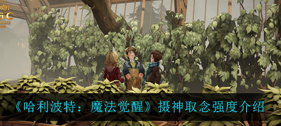 哈利波特魔法觉醒摄神取念强度怎么样