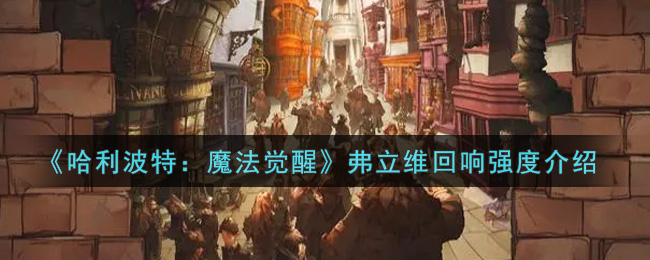 哈利波特魔法觉醒弗立维回响强度怎么样