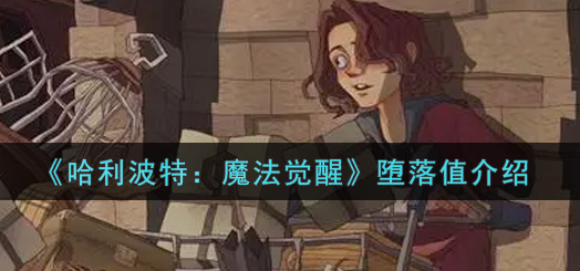 哈利波特魔法觉醒堕落值是什么