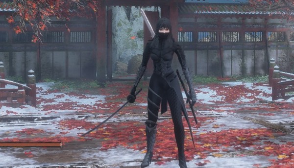 只狼影逝二度洛奇英雄传美里无披风替换狼外观MOD1