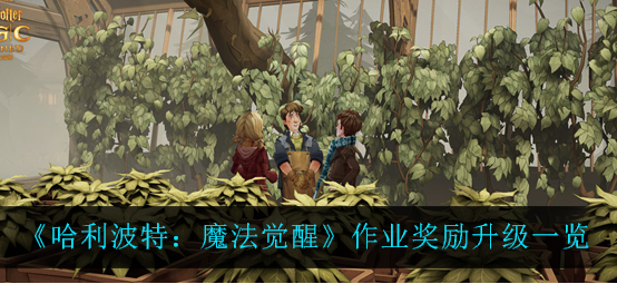 哈利波特魔法觉醒作业奖励升级是什么
