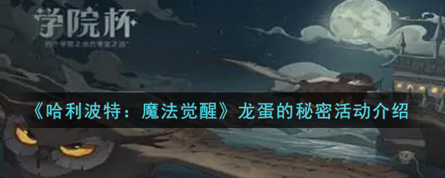 哈利波特魔法觉醒龙蛋的秘密活动怎么玩