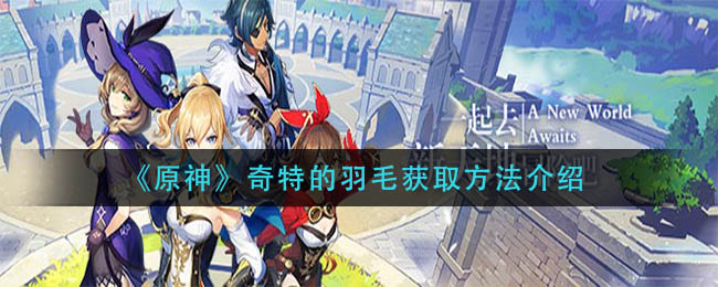 原神奇特的羽毛怎么获取