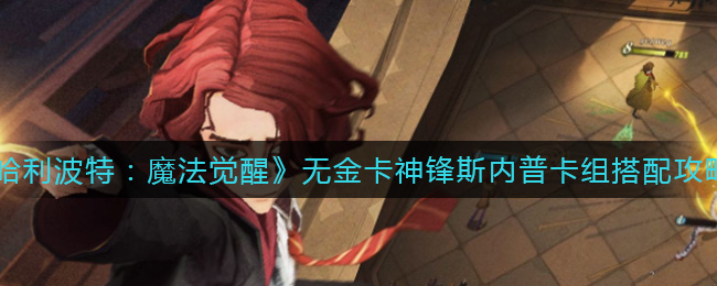 哈利波特魔法觉醒无金卡神锋斯内普卡组怎么搭配