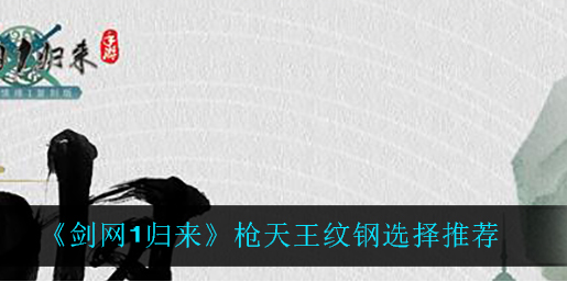 剑网1归来枪天王纹钢怎么选择