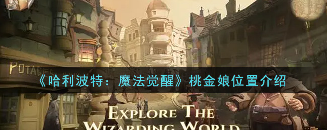 哈利波特魔法觉醒桃金娘位置在哪