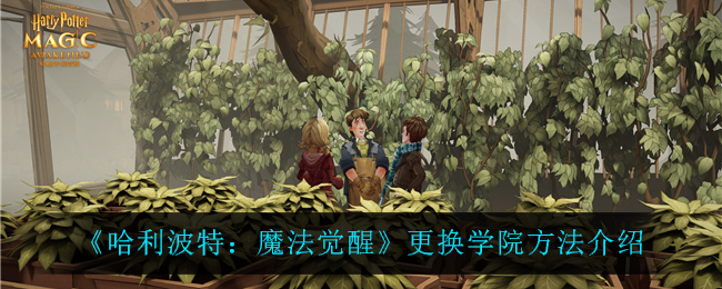哈利波特魔法觉醒怎么更换学院