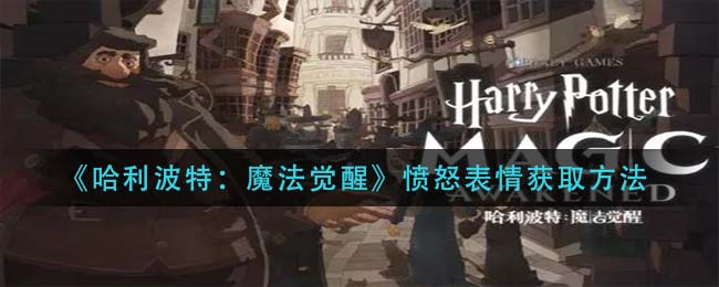 哈利波特魔法觉醒愤怒表情怎么获取