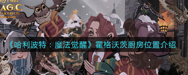 哈利波特魔法觉醒霍格沃茨厨房位置在哪