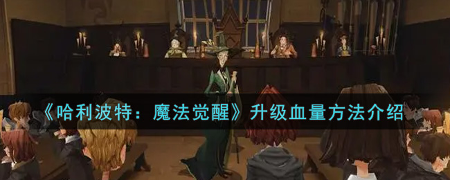 哈利波特魔法觉醒怎么升级血量