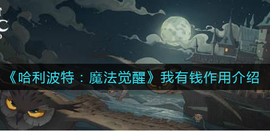 哈利波特魔法觉醒我有钱有什么作用