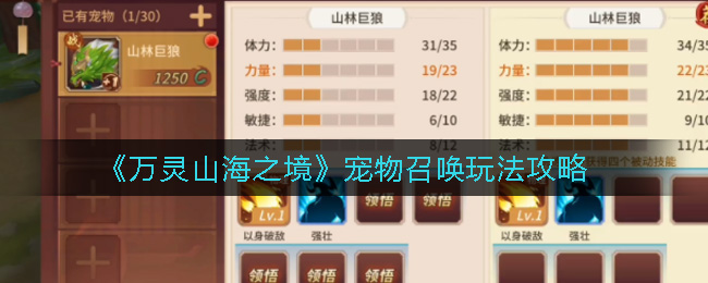 万灵山海之境宠物洗炼怎么玩