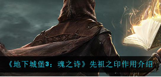 地下城堡3魂之诗先祖之印有什么作用