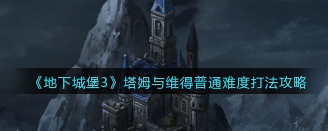 地下城堡3魂之诗塔姆与维得普通难度怎么打