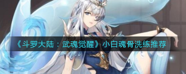 斗罗大陆武魂觉醒小白魂骨怎么洗练