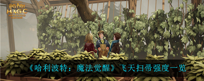 哈利波特魔法觉醒飞天扫帚强度怎么样