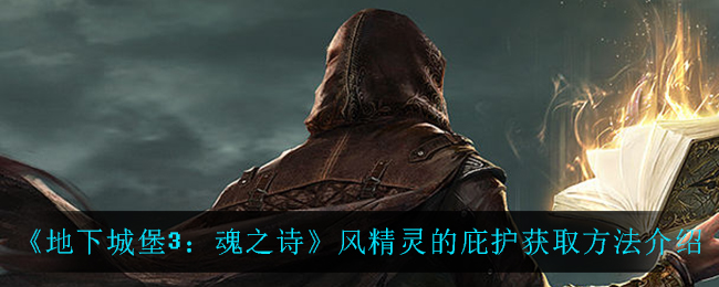 地下城堡3魂之诗风精灵的庇护怎么获取