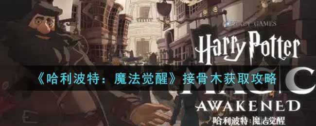 哈利波特魔法觉醒接骨木怎么获取