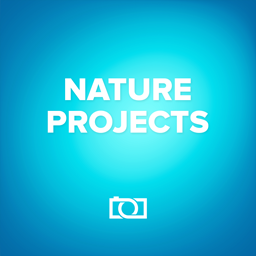 NATURE projects