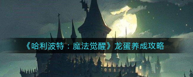 哈利波特魔法觉醒龙蛋怎么养成