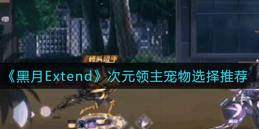 黑月Extend次元领主宠物怎么选择