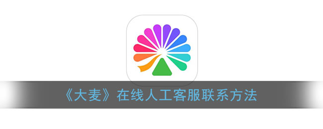 大麦在线人工客服怎么联系