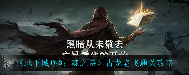 地下城堡3魂之诗古龙老飞怎么通关