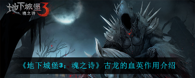 地下城堡3魂之诗古龙的血英作用是什么