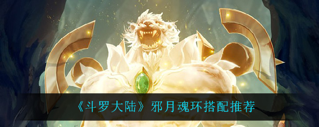 斗罗大陆邪月魂环怎么搭配