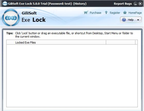 GiliSoft Exe Lock 10.8 for apple download