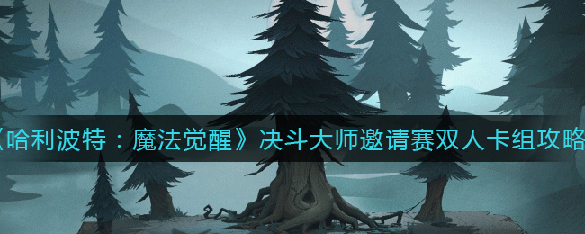 哈利波特魔法觉醒决斗大师邀请赛双人卡组怎么搭配