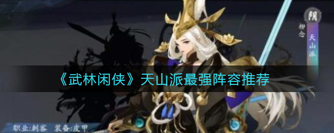 武林闲侠天山派最强阵容是什么