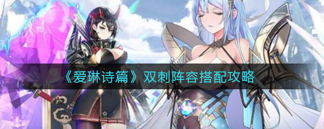 爱琳诗篇双刺阵容怎么搭配