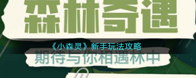 小森灵新手怎么玩