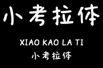小考拉体