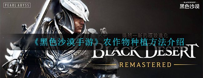 黑色沙漠手游农作物怎么种植